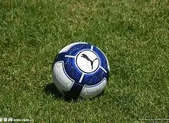 法福女足战,绩起伏大起,大落,28圈网页版,28圈网页版官网,28圈H5网页版,28圈app官网进入