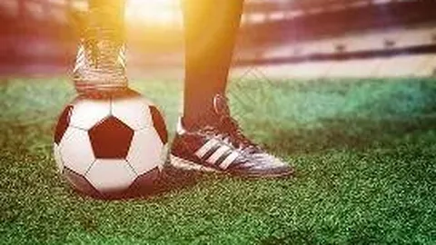 28圈app官网进入 产品 101529 gw6